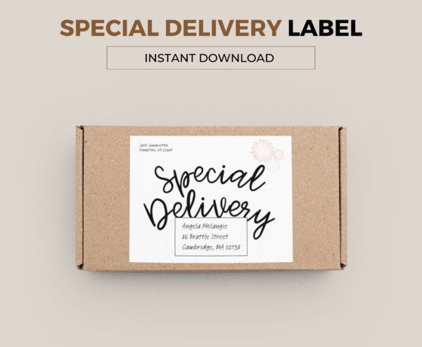 Special Delivery Parcel Label